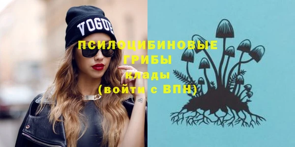 кристаллы Болотное
