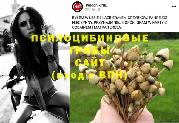 трава Болохово