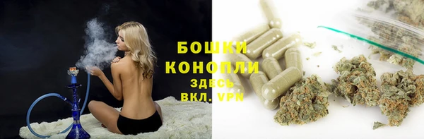 мдпв Михайлов