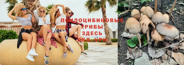 мдпв Михайлов