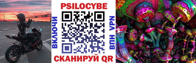 OMG зеркало  Чудово  Галлюциногенные грибы Cubensis 